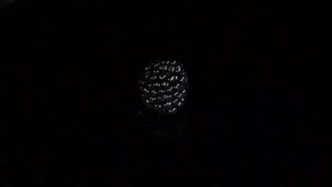 Blackberry Video stock 232911355