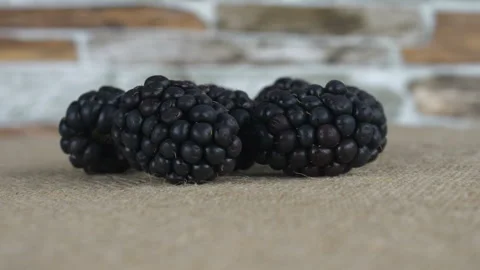 Blackberry Video stock 249264561