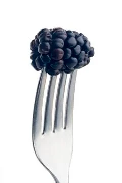 Blackberry on fork Stock Photos