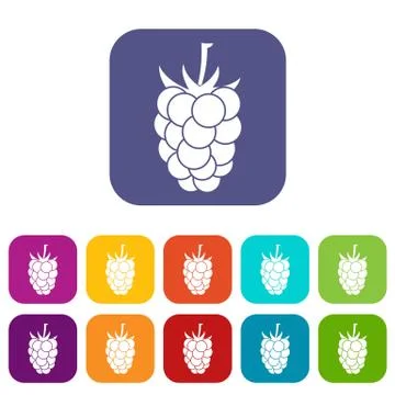 Blackberry fruit icons set flat イラスト素材