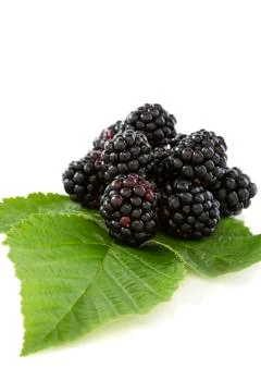 Blackberry fruit with leafs. Stock Photos