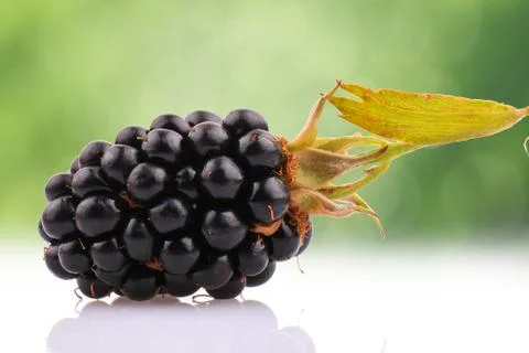 Blackberry fruit 스톡 사진