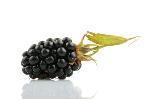 Blackberry fruit Foto stock