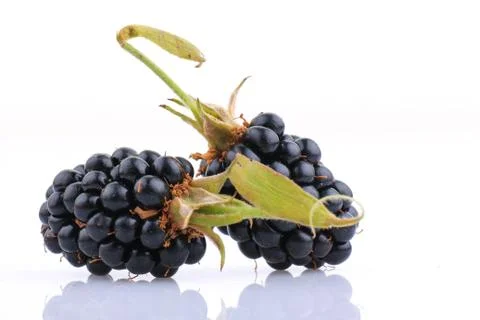 Blackberry fruit Foto stock