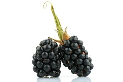 Blackberry fruit Foto stock