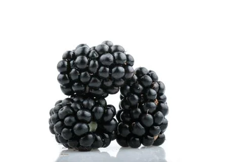 Blackberry fruit 스톡 사진