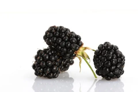 Blackberry fruit Foto stock