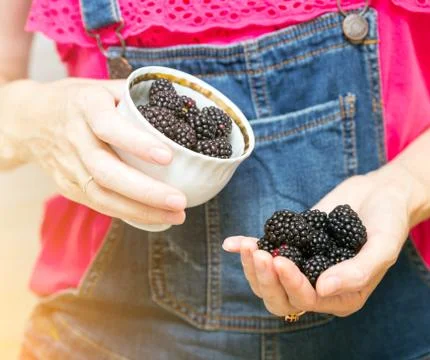 Blackberry fruit Stock Photos