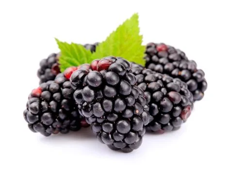 Blackberry fruit Stock Photos
