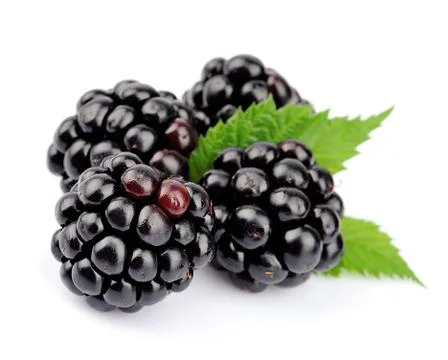 Blackberry fruit Stock Photos