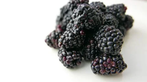 Blackberry Fruit Rotating on White Stock Footage 62024159