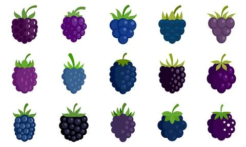 Blackberry icons set flat vector isolated Stock Illustration