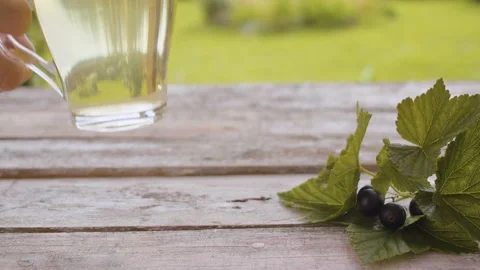 Blackberry leaf drink Stock Footage 137795314