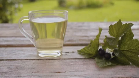 Blackberry leaf tisane Stock Footage 137795098