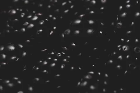 Blackberry Macro close up Stock Photos
