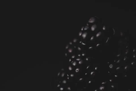 Blackberry Macro close up Stock Photos