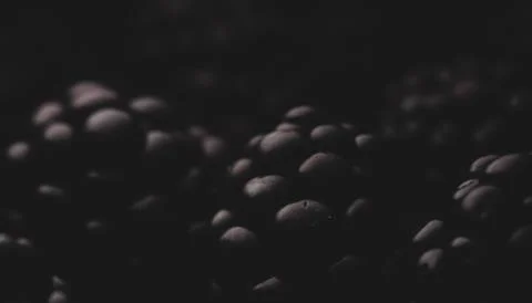 Blackberry Macro close up Stock Photos