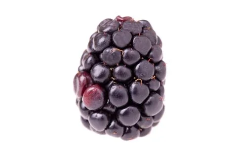 Blackberry macro Фото