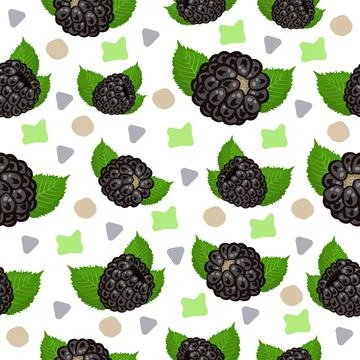 Blackberry pattern with colorful abstract spots Stock Illustration