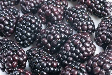 Blackberry pattern macro with glossy sheen, repeating drupelet forms create b 库存照片