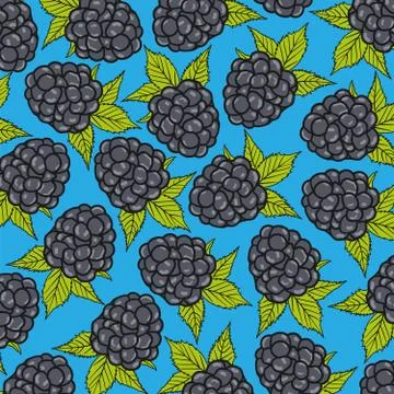 Blackberry pattern, seamless work, made in vector and isolated Stock Illustration