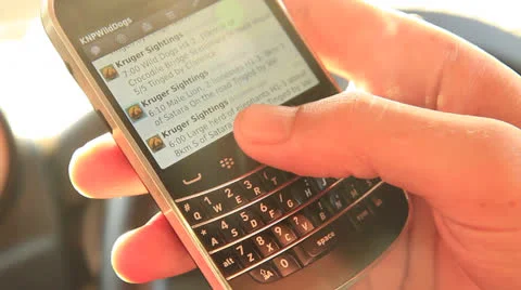 BlackBerry phone circa 2012 GF Stock Footage