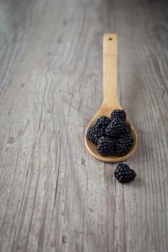 Blackberry Stock Photos