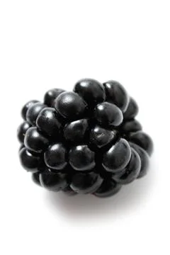 Blackberry Stock Photos