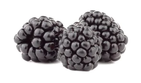 Blackberry Stock Photos