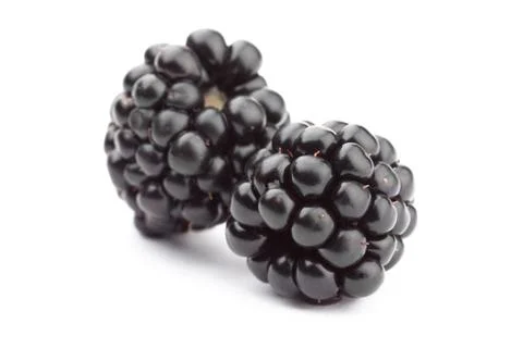 Blackberry Stock Photos