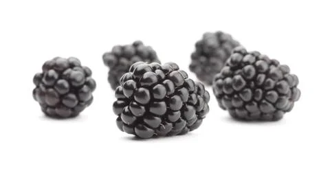 Blackberry Stock Photos