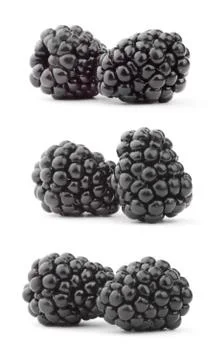 Blackberry Stock Photos