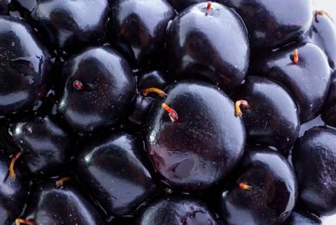 Blackberry. Stock Photos