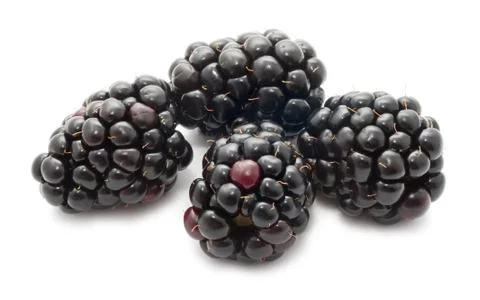 Blackberry Stock Photos