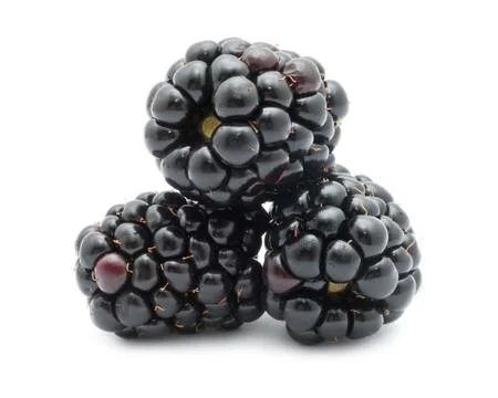 Blackberry Stock Photos
