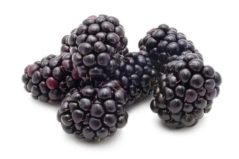 Blackberry Stock Photos