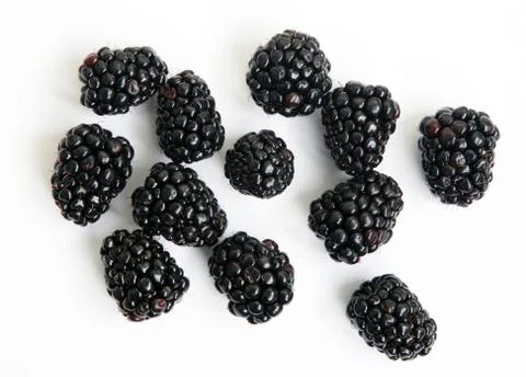 Blackberry Stock Photos