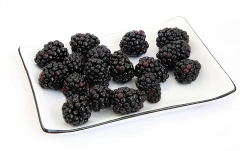 Blackberry Stock Photos