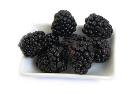 Blackberry Stock Photos