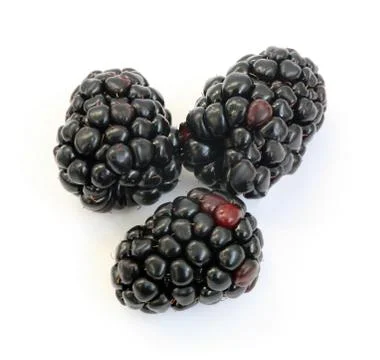 Blackberry Stock Photos