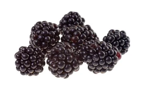 Blackberry Stock Photos
