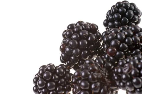 Blackberry Stock Photos