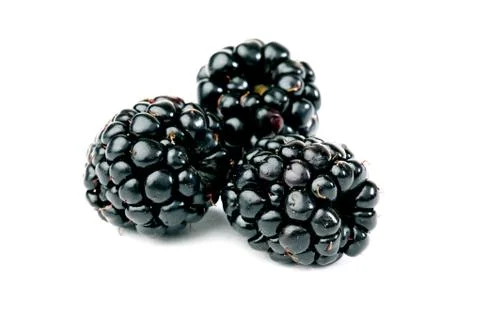 Blackberry Stock Photos