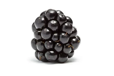 Blackberry Stock Photos