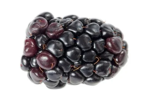 Blackberry Stock Photos