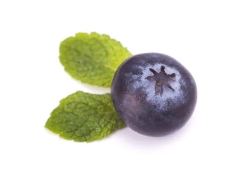 Blackberry Stock Photos