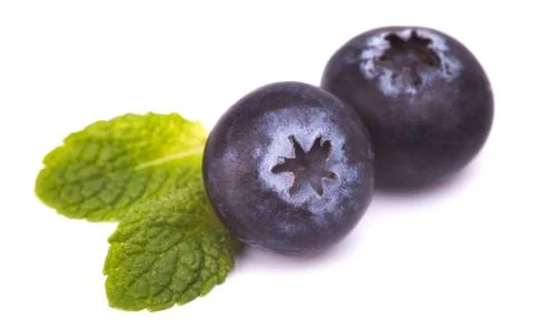 Blackberry Stock Photos