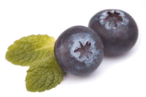 Blackberry Stock Photos