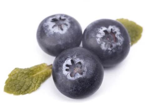 Blackberry Stock Photos