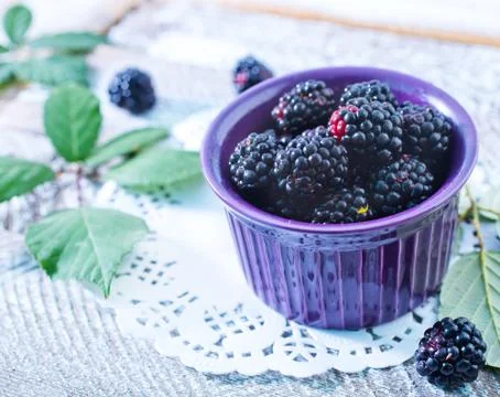 Blackberry Stock Photos